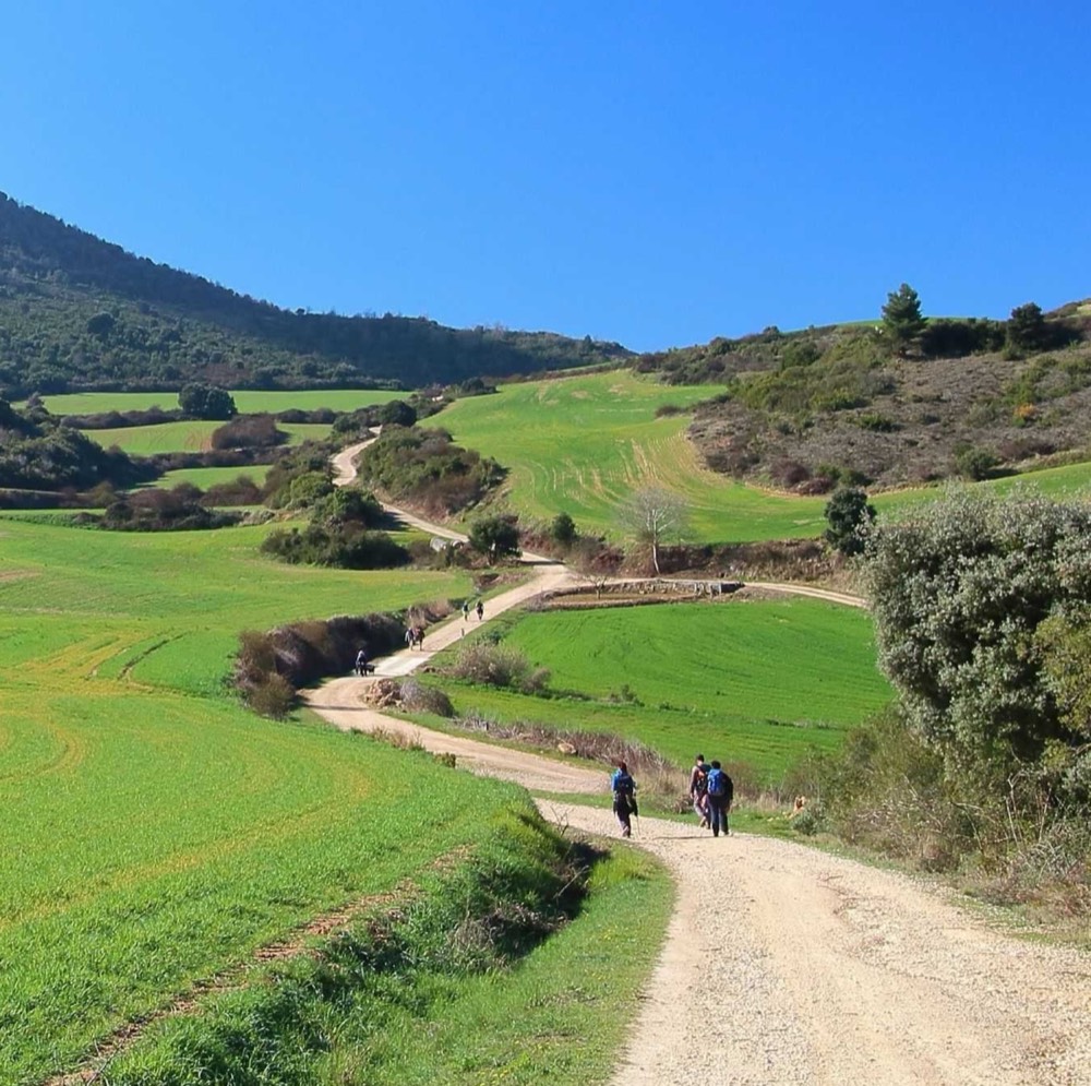 Pilgrims walking a dirt track through green hills on the Camino